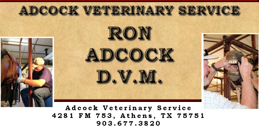 Adcock Veterinary Service, Equine Veterinary Practice, Ron Adcock D.V.M, 903-677-3820, 4281 FM 753, Athens, TX 75751